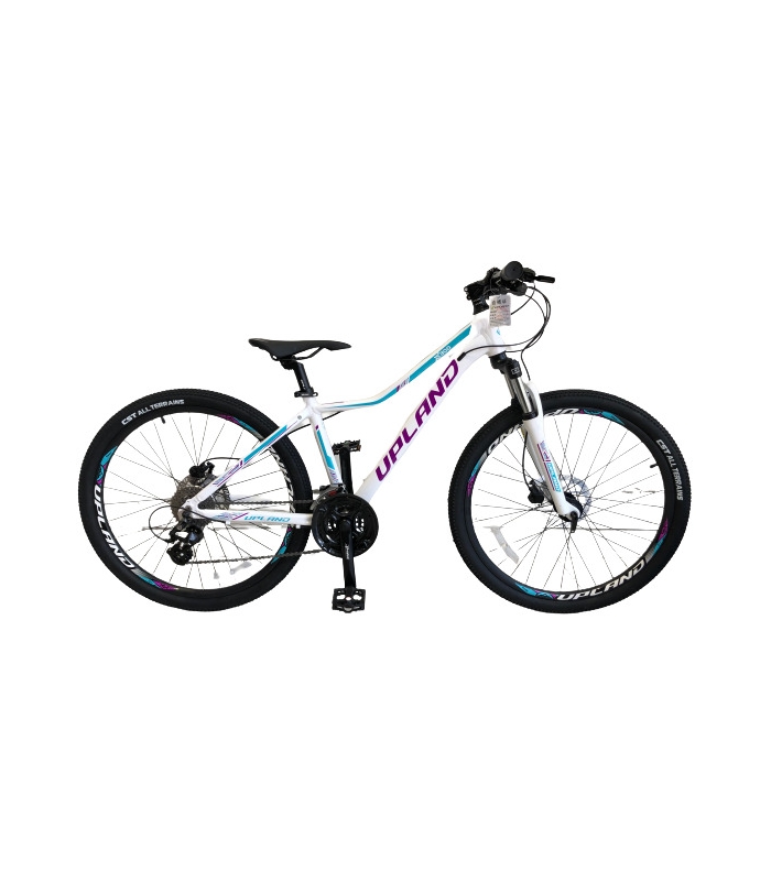 UPLAND X 300 Bike qbikeqatar