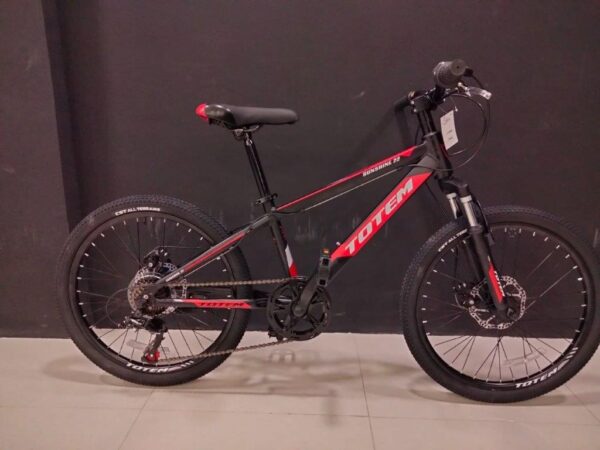 TOTEM-Sunshine 22”